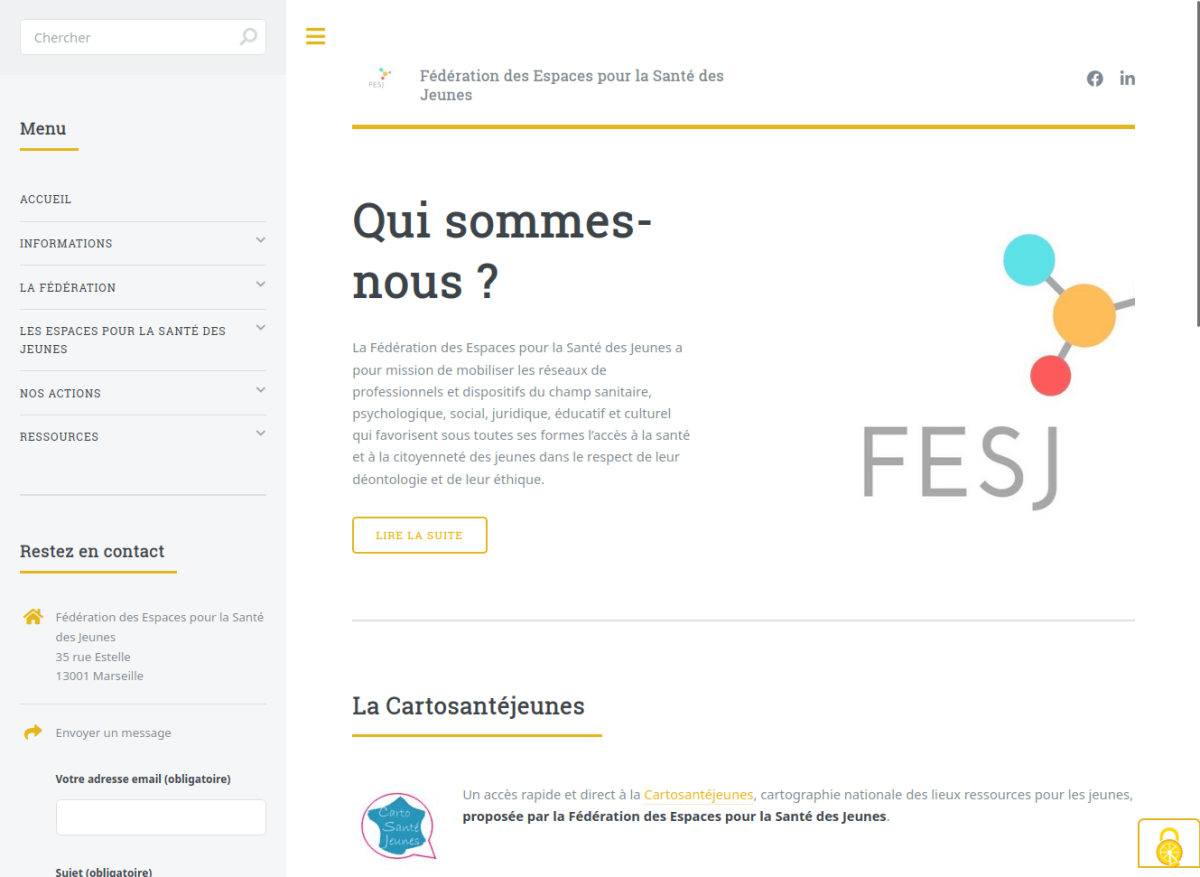 Page d'accueil avec menu de gauche sur fond gris, texte de présentation, et couleur jaune pour le contraste