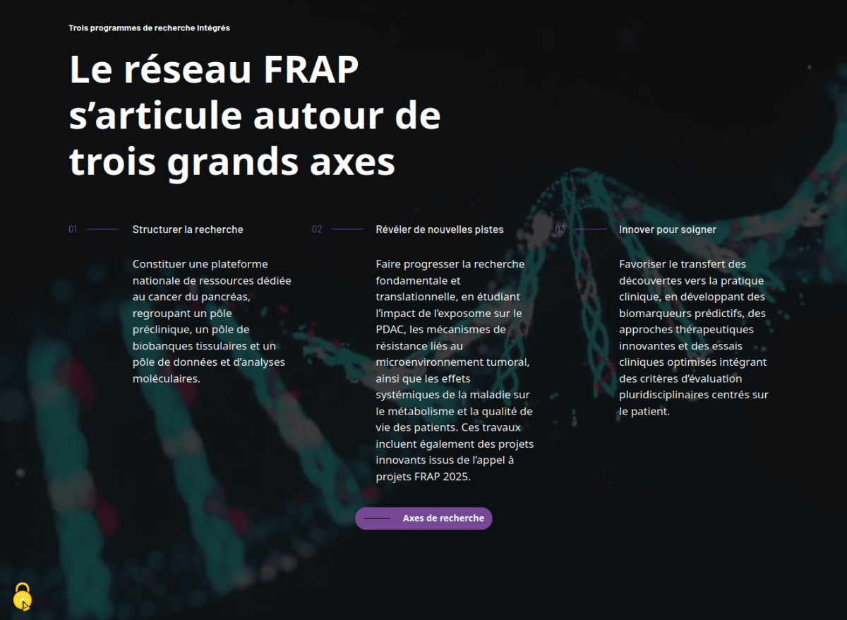 Les 3 axes sont présentés en 3 colonnes avec un texte blanc sur un fond sombre et un bouton violet pour lire plus en détail