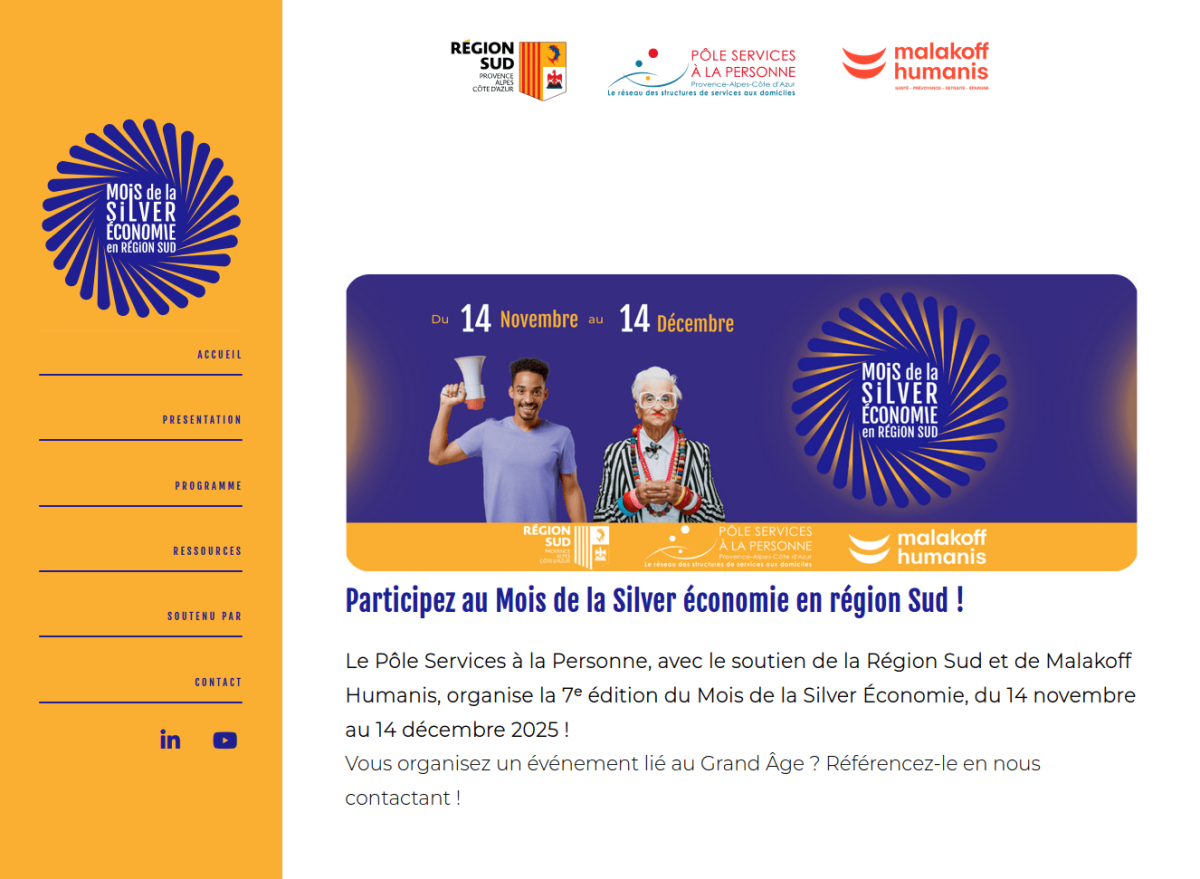 Bandeau latéral sur fond jaune avec menu et partie centrale avec logo et texte de présentation